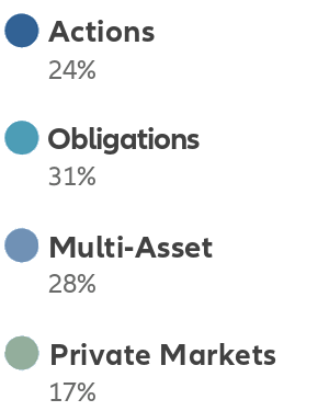Légende Actions 24%, Obligations 31%, Multi-Asset 28%; Produits alternatifs 17%